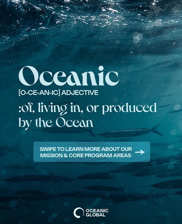 REINTRODUCING: Oceanic Global 🌊🌎✨ Oceanic means “of, living in, or produced by the ocean.” With the Ocean covering 70% of the planet, making up 95% of the biosphere, and producing over 50% of the oxygen we breathe, all life on Earth is inherently oceanic.Yet, modern life has caused humanity to forget that we are part of nature, growing more disconnected from the Ocean — the beating heart of our Blue Planet. Despite our deep reliance on the ocean, human activity is pushing it toward a critical state. Rising temperatures, depleted fish stocks, and declining carbon sinks all point to the urgent need for action 💧 At Oceanic Global, we believe that protecting the Ocean is essential not only to the Earth’s health but also to humanity’s survival and well-being. Our mission is to reconnect people with the ocean as the lifeblood of the Earth and offer tangible solutions for coexisting in harmony with nature 🌀 Swipe to learn more about how our core program areas bring this mission to life ➡️Our initiatives are not just about addressing immediate needs but reshaping systems and restoring balance for the future ⚡️Because no matter who we are or where we’re from, we are all oceanic 💙Visit oceanic.global to learn more 🐋 by @oceanic.global