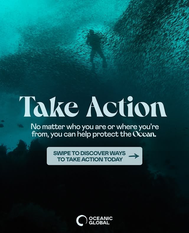 Take Action Today for a Healthier Ocean Tomorrow! 🌊At Oceanic Global, we’re working to safeguard our oceans through education, action, and partnerships. From joining hands with local communities to influencing global systems, we offer countless ways for YOU to make a difference.✨ Learn — Dive into free educational resources and action guides. 🏝️ Volunteer — Join our global hubs and contribute to ocean conservation efforts. 🌀 Go Blue — Help businesses transition to sustainable practices with our Blue Standard. 🤝 Partner — Collaborate with us to catalyze lasting impact.🪸 Support a Grant — Contribute to global grassroots initiatives with direct impact on-the-ground.🗓️ Attend an Event — Join us to expand upon your understanding, impact & network an upcoming event.All of this is made possible through your generous donations, and with your continued support, we can expand our efforts and drive greater change for our Blue Planet 🌎Donate to Create a Wave of Change: oceanic.global/donate 💙Visit oceanic.global on ways you can take action & join in creating a wave of positive change 🐋 by @oceanic.global