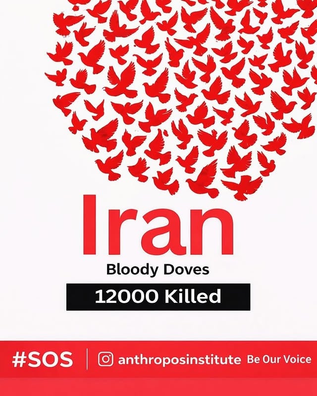 تصاویری که با وجود قطع اینترنت در ایران، داره پخش میشه قلب ایرانیان سراسر جهان رو آتش زده. این قتل عام هموطنان ما که تا این لحظه طبق اخبار ۱۲ هزار جان شریف ایرانی رو گرفته، در چندین دهه گذشته بی مثال بوده! به همه هموطنانم تسلیت میگم. این داغ برای همه ماست. خود من هم از دیدن این که چه به مردم ما میگذره تو شوکم، ولی مثل خیلی ها دل منم روشنه که صبح میشه این شب… صدای #ایران باشید by @mohsen