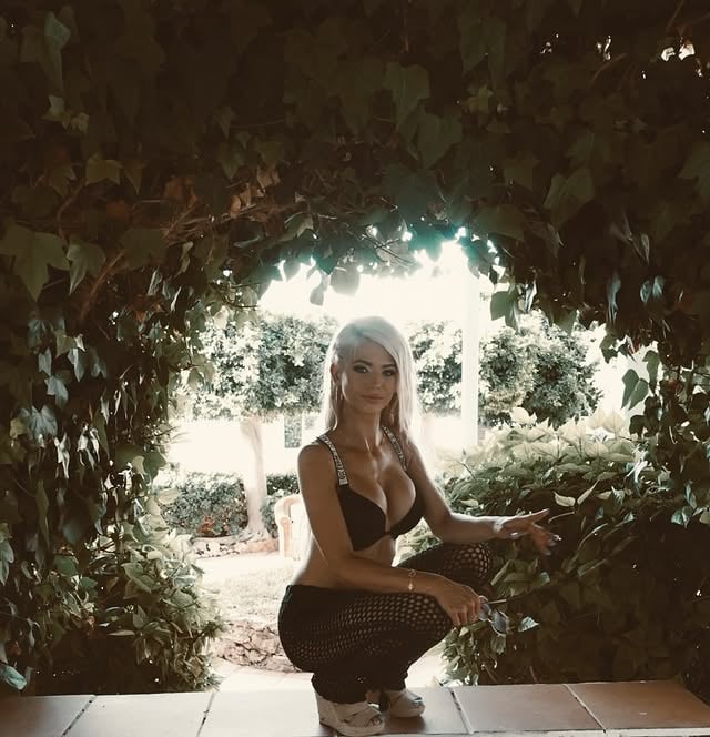 But,like ivy, we grow where there is room for us.🏹That and is it holiday season yet?☀️ by @danielle_harold