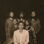 Red Clay Strays(@redclaystrays)'s profile avatar