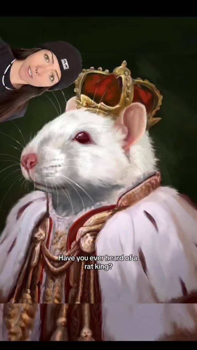 rats have quite the history!#ratking #rat #themoreyouknow by @lindsay_nikole