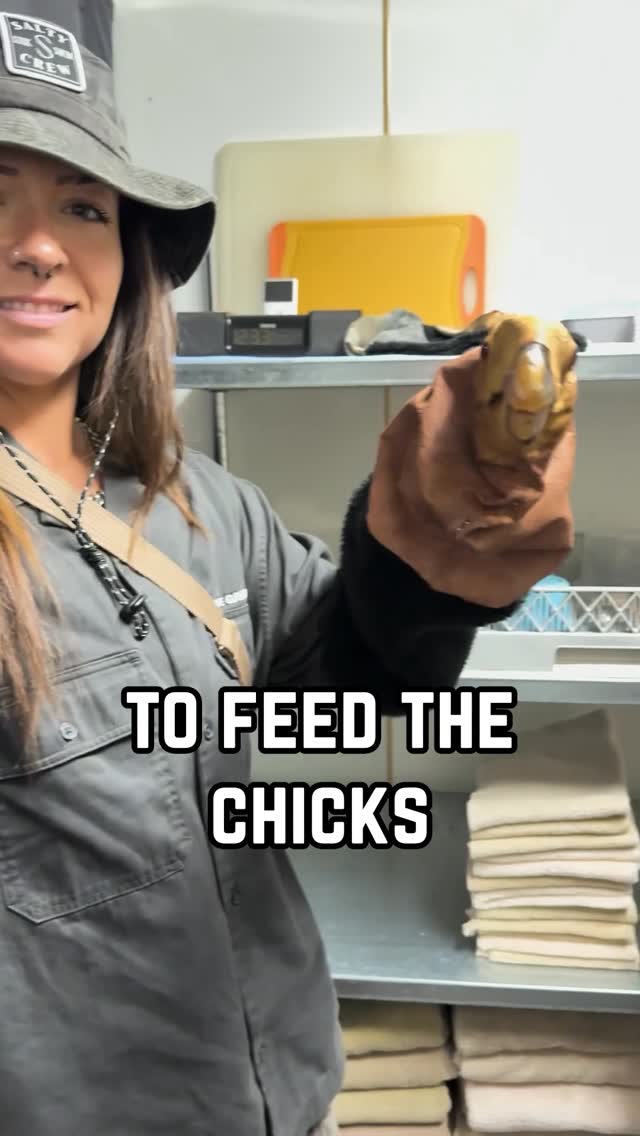 so grateful the california condor is still here, thanks to conservation work at organizations including the SD Safari Park :’) @sdzsafaripark #partner #condor #conservation by @lindsay_nikole