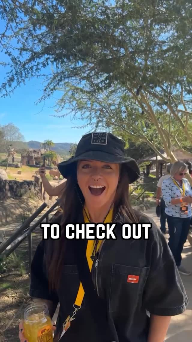 the new elephants exhibit is so sick, and you can check it out now!!! @sdzsafaripark #elephant #partner #conservation by @lindsay_nikole