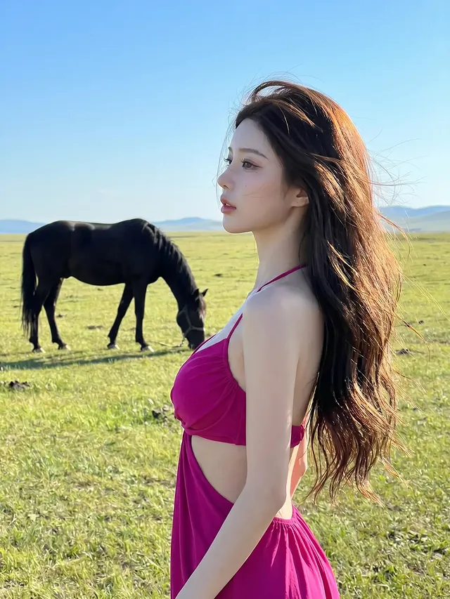 自由如風