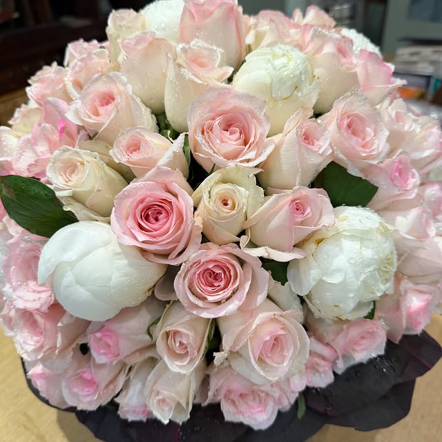 🌸 by @vishakhadhiman_