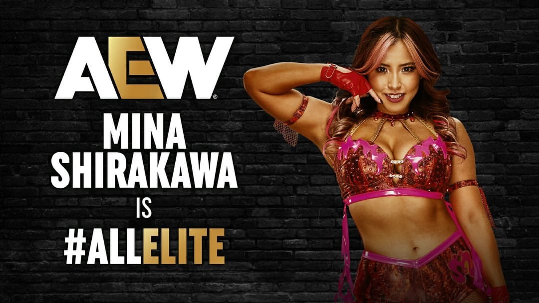 One year ago today, I truly became part of AEW 🥺♡At last year’s #AEWDoN, I challenged Toni for the World Title.This year… I know exactly what I have to do.#WeWantMina #minanow by @mina_shirakawa