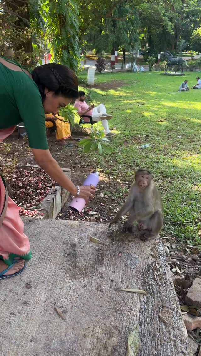 Kindness costs nothing but is worth a lot …. ❤️Request everyone to keep a bowl of water for the voiceless 🙏🏻@bhim_karki kept calling and I had to do this first …. Poora scene hi gaya tha we had finished before time hence took the liberty and when I sent this video to my producer @rajan.shahi.543 he said fur babies first ❤️Blessed to be working in a PH @directorskutproduction where life comes first ❤️Even through Anupamaa Rajan ji and our entire team believes in spreading the msg of kindness and compassion ❤️#summerheat #monkey #bekind #blessed #anupamaa by @rupaliganguly