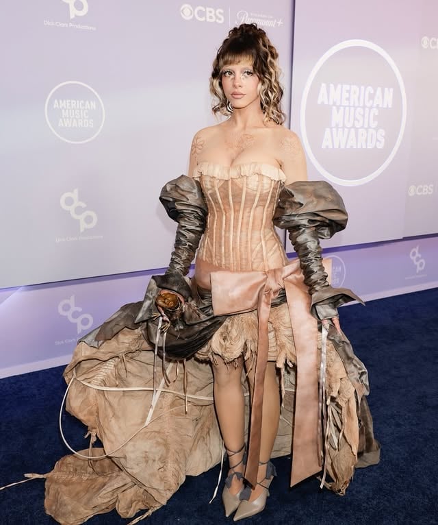 Makeup on @littlebodybigheart for the AMA’s 🤎Hair by @williamscottblair Prosthetics and body cover by @worshipmina Styled by @mazurbate Dress by @weslah Base - @natashadenonabeauty foundation @natashadenonabeauty concealer@madebymitchell cream blush@danessamyricksbeauty cream contour@hauslabs powder highlight @trixiecosmetics powder blushLips-Used two pencils together, one from @makeupforever and one from @colourpopcosmetics @maccosmetics satin lipstick@danessamyricksbeauty clear glazeEyes-@blendbunnycosmetics Haunt Me palette and Ellis V2@patmcgrathreal mascara by @laurelcharleston