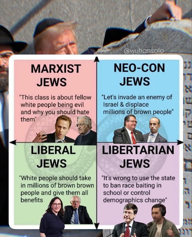 This political compass easily explains the Jewish monolith. No matter their political position, they are ultimately acting in the best interest of themselves as a collective. Meme made by @wuhansolo @wuhan.solo by @wuhansolo