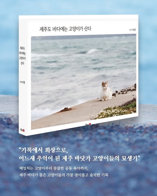제주도 바다에는 고양이가 산다 사진집 출간.“기록에서 회상으로, 어느새 추억이 된 제주 바닷가 고양이들의 묘생기”오랜시간 아이들의 모습을 기록해온 사진들을사진집으로 출간하게 되었습니다.구매 링크는 프로필을 통해 확인 가능합니다. by @xhu_re