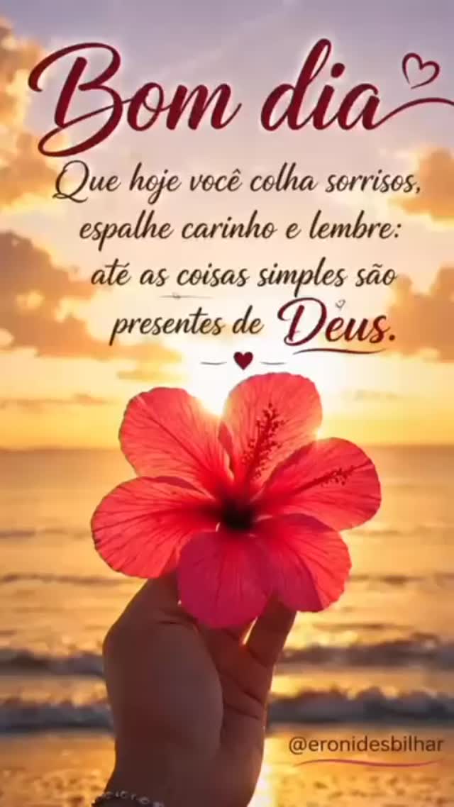 Bom dia Que hoje você colha sorrisos, espalhe carinho e lembre: até as coisas simples são presentes de Deus.@eronidesbilhar