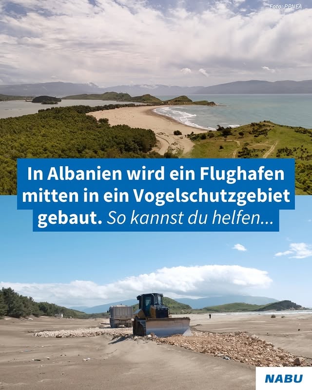 Sechs Kilometer geschützte Küste und 240 Quadratkilometer Feuchtgebiet: Europas letztes wildes Flussdelta wird vor unseren Augen zerstört. Affinty Partners, eine globale Investment- und Vermögensverwaltungsgesellschaft mit Sitz in Miami, will aus dem Naturschutzgebiet Vjosa-Narta ein Luxus-Resort inklusive Flughafen für die Superreichen machen. Das Unternehmen wurde 2021 von Jared Kushner, dem Schwiegersohn von Donald Trump, gegründet. Nach Protesten am Samstag tauchten Aufnahmen auf, auf denen zu sehen ist, wie private Sicherheitskräfteeinen Demonstranten offenbar angreifen und anschließend an einer Klippe entlang schleifen, während sieandere Demonstrierende bedrohen, die versuchten, Zäune zu entfernen und die Bauarbeiten zu stoppen. Unterschreibe jetzt für einen sofortigen Baustopp & volle Transparenz über Genehmigungen sowie eine strikte Prüfung des Falls auf EU-Ebene. Teile den Post, damit mehr Menschen davon erfahren.Für mehr Informationen folgt der albanischen NGO @ppnea #handsoffvjosanarta #albanien #protectyourhome by @nabu