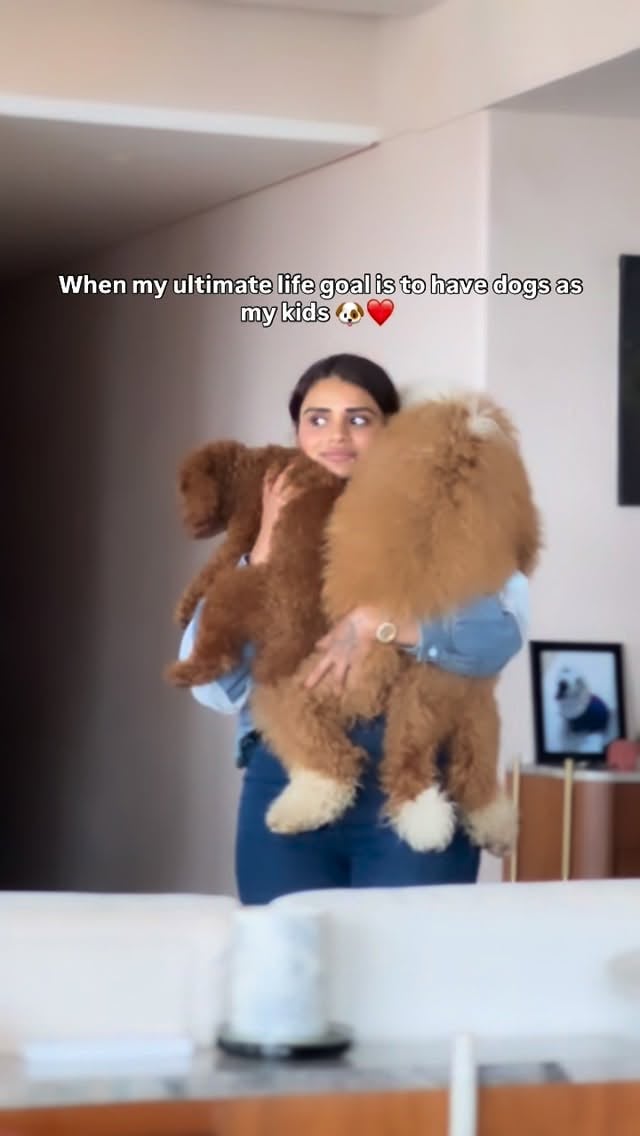 Dog mom era: permanently loading… 🐾🤍

#instagram #dogsofinstagram #love #reels