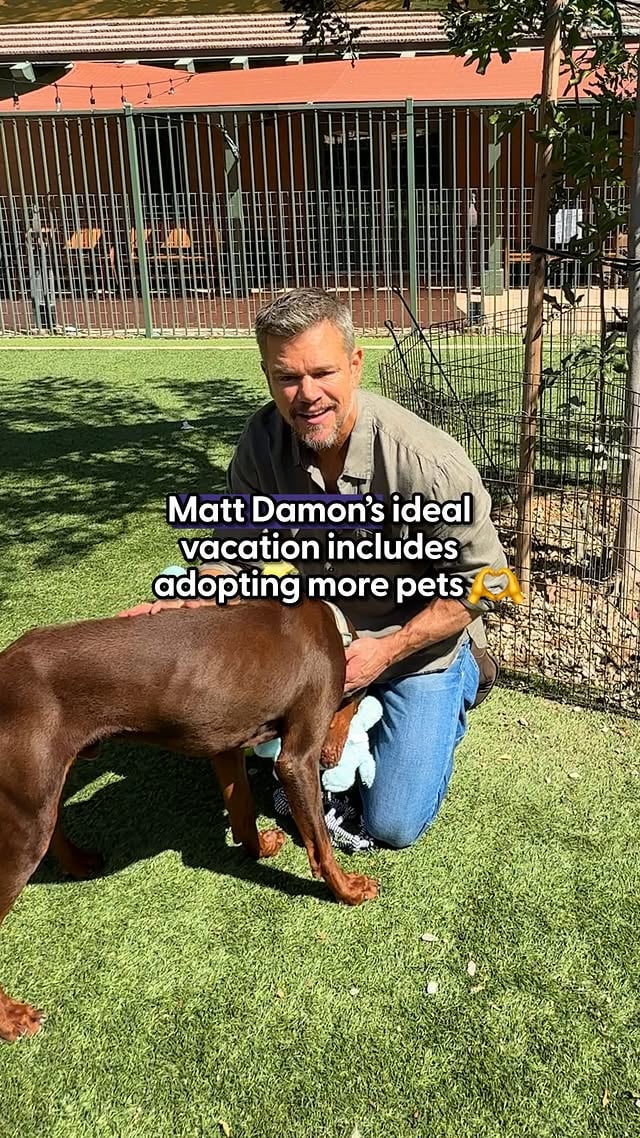 Matt Damon says his family has a habit of bringing home rescue animals from vacation 👏During his Dodo Dream Date, Matt Damon shares how a trip to Costa Rica led his family to rescue a cat they couldn’t leave behind and tells the story of Rosita, the family’s beloved “apocalypse dog” ❤️Whether he’s saving animals or surviving mythical journeys, Matt Damon’s always up for an adventure 🌊✨@universalpictures The Odyssey is out in theaters, July 17.Visit @eastwoodranch to meet your new family member. by @thedodo