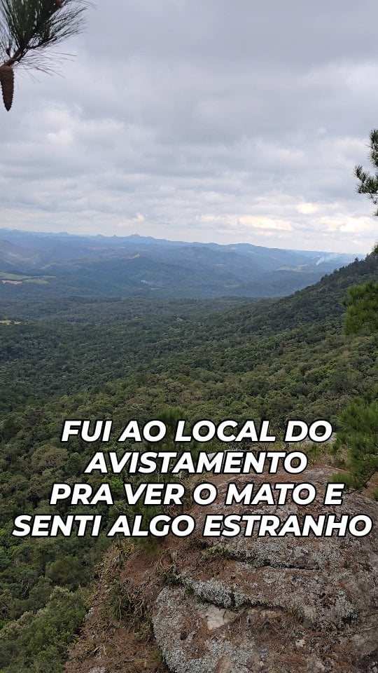 Não sei explicar pessoal, mas eu me senti bem estranho neste local, mesmo já o conhecendo de alguns anos atrás.Pode ser simplesmente por saber do caso, pode ser puramente psicológico, mas a gente sabe o que sente e quando sente. Sei lá.Fui verificar minhas plotagens de posição e encaixar tudo com o Vídeo do Mayk, isso é importante para verificar o mato e o local.Meu objetivo era ver as possibilidades como pessoas com lanternas, luzes, drive agrícola, balão ou sei la mais o que.#sobrevivencia #lucianotigre #sobrevivenciaextrema #investigação #ovini