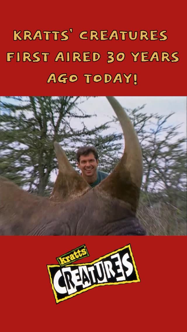 Today we are celebrating the 30TH(!!) anniversary of Kratts’ Creatures first airing on @pbskids !From Kratts’ Creatures to Zoboomafoo to Wild Kratts, thank you to every Creature Adventurer who has joined the journey over the years. We would love to hear your favorite moments from Kratts’ Creatures and are going to be sharing a few of our own of the next few weeks! #Krattscreatures #krattbrothers #pbskids by @pbskids