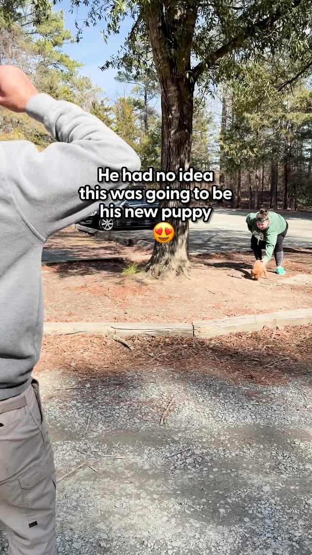 Then things escalated 😂💚@ben_thedodo talked to Rachel and Connor about the big surprise — and how an even bigger one came a few weeks later when they brought Jupiter’s sister home, too ❤️ by @thedodo