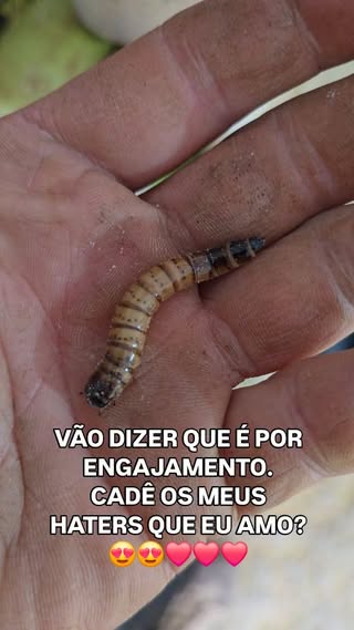 No treinamento da @voedrakon temos muitas atividades.

Estes são criados para instrução e alimentados para isto. 

Semelhantes aqueles criados para pesca e para alimentar animais pets específicos.

@thiagofromholz

#sobrevivencia #lucianotigre #comissariosdevoo #instagram #reels