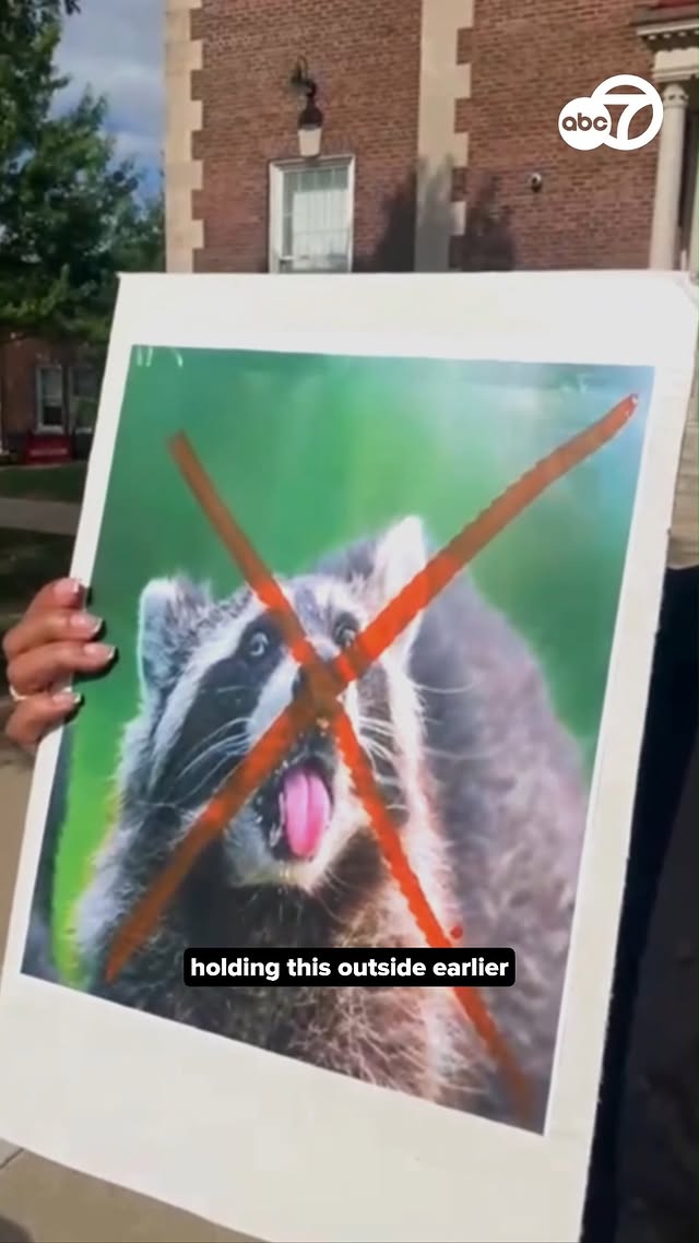 Several teachers at a Northeast D.C. elementary school called on leaders to take action on a months-long raccoon issue in the building before summer school begins. #wjla #washingtondc #local #dcschools #raccoons by @7newsdc