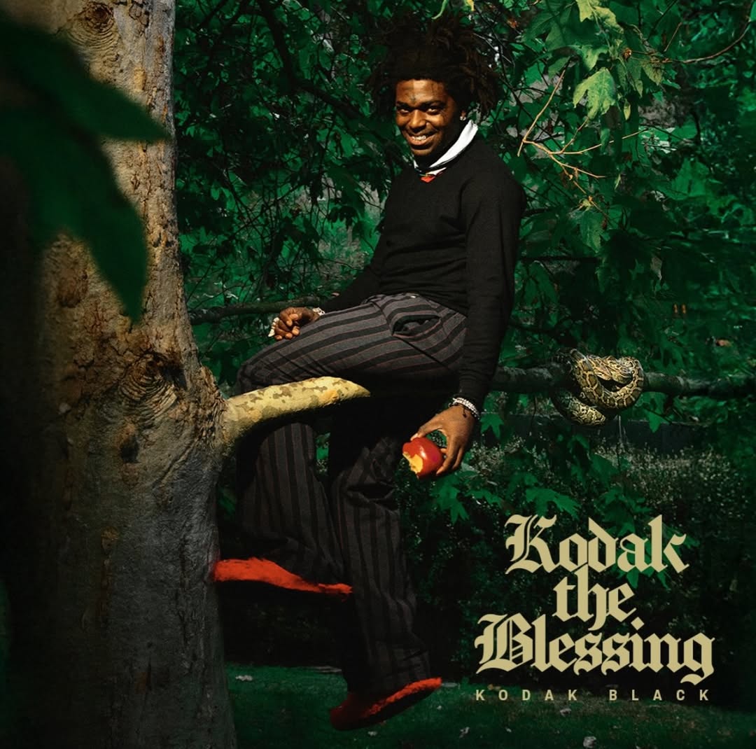 KODAK THE BLESSING🧡THANK YOU A MILLION TIMEZ BRUDDA ITS BOUTA B A STORM⛈️⚡️EVERYBODY WHO HATED FINNA B BITING N’ EVERYBODY WHO BITING FINNA B HATING🌊SHIFT THA TIDE ERRYTIME ANYBODY TRY IT DYIN… ON GRANNY #YAKTHEBLESSING #6/12