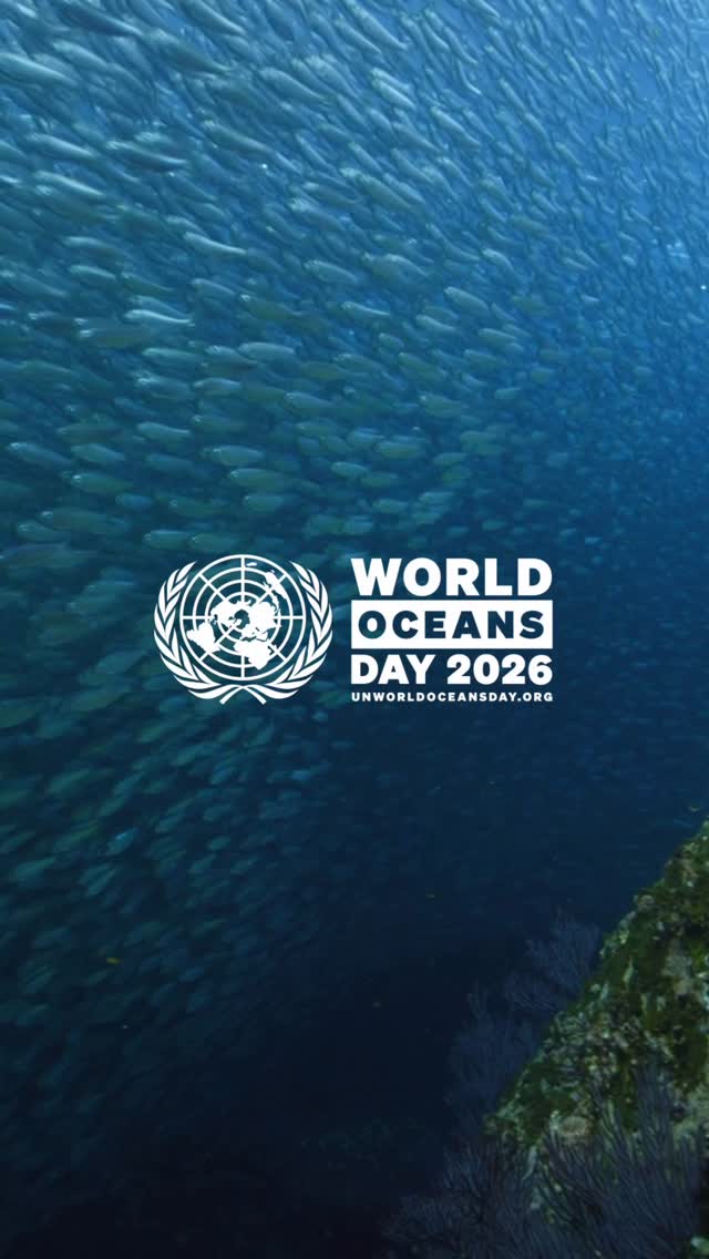 On Monday’s UN World Oceans Day, we mark a new chapter — and a new call to action to #SaveOurOcean.For too long, we’ve treated the ocean as something distant and separate from us. Yet it shapes the air we breathe, the food we eat and the climate we depend on.Now is the time to rethink our relationship with the ocean and recognize how deeply connected we truly are.The entry into force of the global agreement to conserve and sustainably use marine biodiversity of areas beyond national jurisdiction is a major step toward caring for our shared ocean together.But no agreement alone can transform how we care for the ocean. That change depends on all of us. Beyond the world we know, a more just and sustainable future for our ocean is within reach. by @oceanic.global