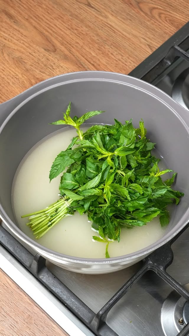 کی میدونه فرق این شربت با شربت سکنجبین چیه؟
@cook.mag
مواد لازم:

۴ و نیم لیوان شکر 
دو لیوان آب 
دو قاشق غذاخوری آبلیمو 
دو بسته نعنا 

نکات:
✅شکر و آب را قبل از حل شدن شکر هم نزنید.
✅نعنا را بعد از جوش آمدن شربت اضافه کنید تا عطر بیشتری داشته باشد.
✅درِ قابلمه را یک شب بسته نگه دارید تا طعم و عطر نعنا کاملاً به شربت منتقل شود.
@cook.mag
#شربت_نعنا
#نوشیدنی
#نوشیدنی_طبیعی
#شربت_خانگی
#نوشیدنی_تابستانی