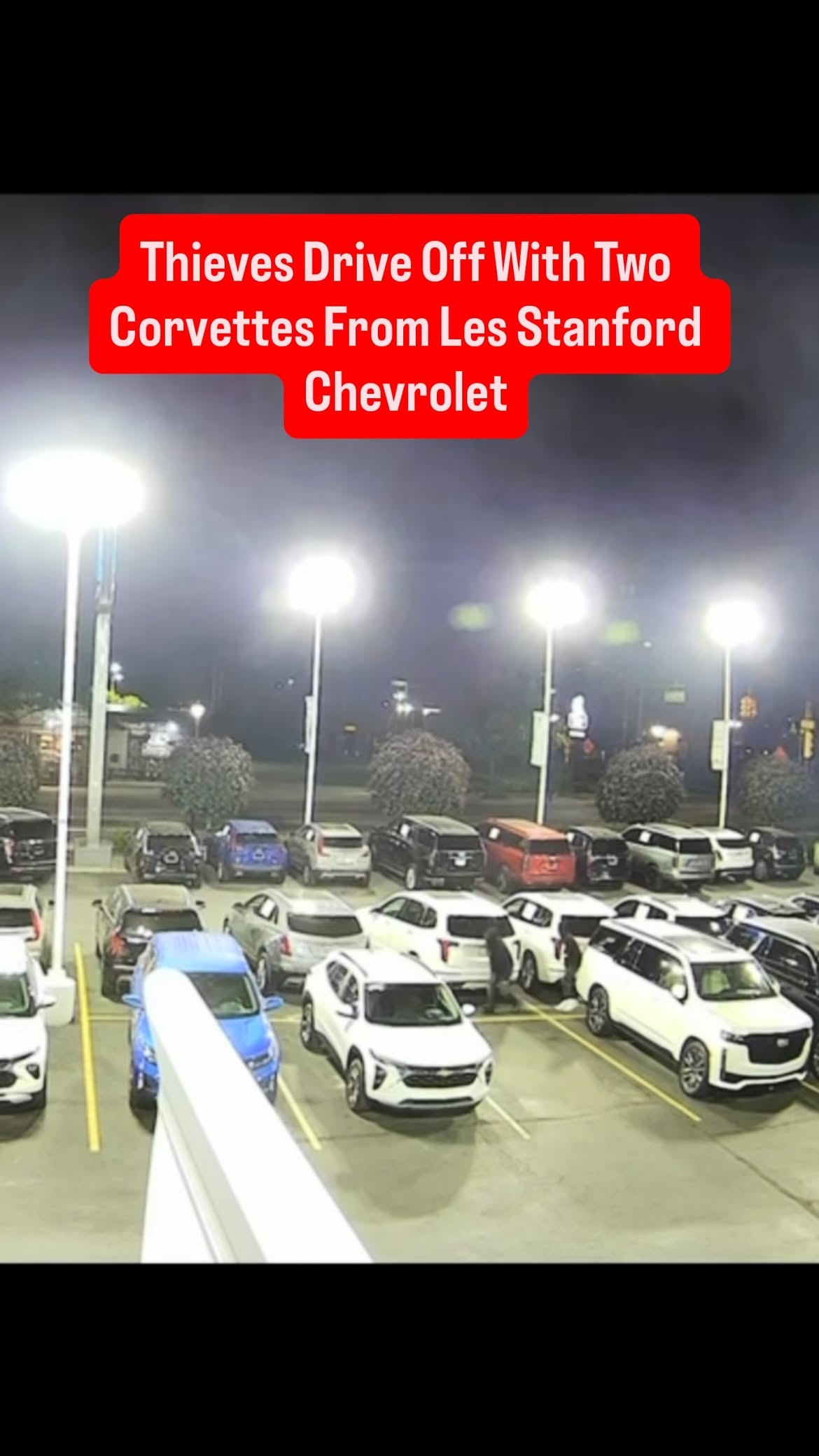 Dearborn Police are investigating after thieves stole two Chevrolet Corvette Z06 sports cars from a dealership along Michigan Avenue in West Dearborn.

According to preliminary information, the vehicles were taken from Les Stanford Chevrolet. Investigators believe the suspects may have used a programming device to gain access to and start the high-performance vehicles before driving away.

Video obtained by TCD News shows the suspects leaving the dealership property and jumping a barrier before entering Michigan Avenue and fleeing the area.

Police have not released information on any suspects at this time, and the investigation remains ongoing.

Anyone with information about the thefts is asked to contact the Dearborn Police Department.