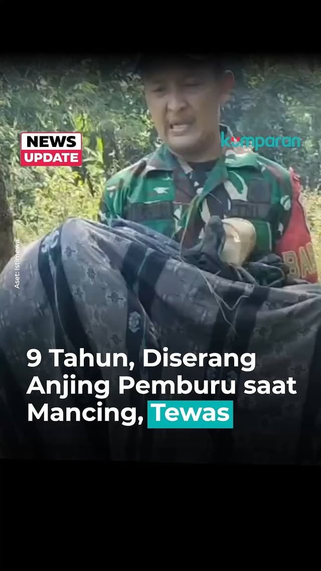 Seorang bocah berusia sekitar 9 tahun tewas setelah diduga diserang anjing pemburu saat memancing di Kecamatan Jasinga, Kabupaten Bogor, Minggu (7/6). Polisi telah mengamankan sekitar 20 orang yang diduga merupakan pemburu hewan liar terkait peristiwa tersebut.

Kapolsek Jasinga Iptu Agus Hidayat mengatakan pihaknya langsung bergerak setelah menerima laporan warga sekitar pukul 12.00 WIB.

"Kami amankan sekitar 20 orang. Saat ini masih dilakukan pemeriksaan dan pendalaman," ujar Agus, Senin (8/6).

Korban sempat dibawa ke RSUD R. Moh. Noh Nur Leuwiliang untuk menjalani autopsi. Namun, pihak keluarga memutuskan membatalkan proses tersebut dan langsung memakamkan jenazah.

Polisi juga membuka kemungkinan penerapan pasal pidana terhadap pihak yang terbukti lalai hingga menyebabkan korban meninggal dunia.

"Kepada terduga pelaku dapat dikenakan Undang-Undang Perlindungan Anak. Saat ini seluruh proses masih dalam tahap pemeriksaan," kata Agus.

Hingga kini, polisi masih mengumpulkan keterangan saksi serta mendalami identitas kelompok pemburu dan kepemilikan anjing yang diduga menyerang korban.

📸: Dok. Istimewa.

Baca selengkapnya dengan klik link di bio. Cari tahu berita update lainnya dengan download aplikasi kumparan di App Store atau Google Play.

📝: newsupdate | update | news | videonews | R120 | E164 | V145 | V103

#bicarafaktalewatberita #kumparan