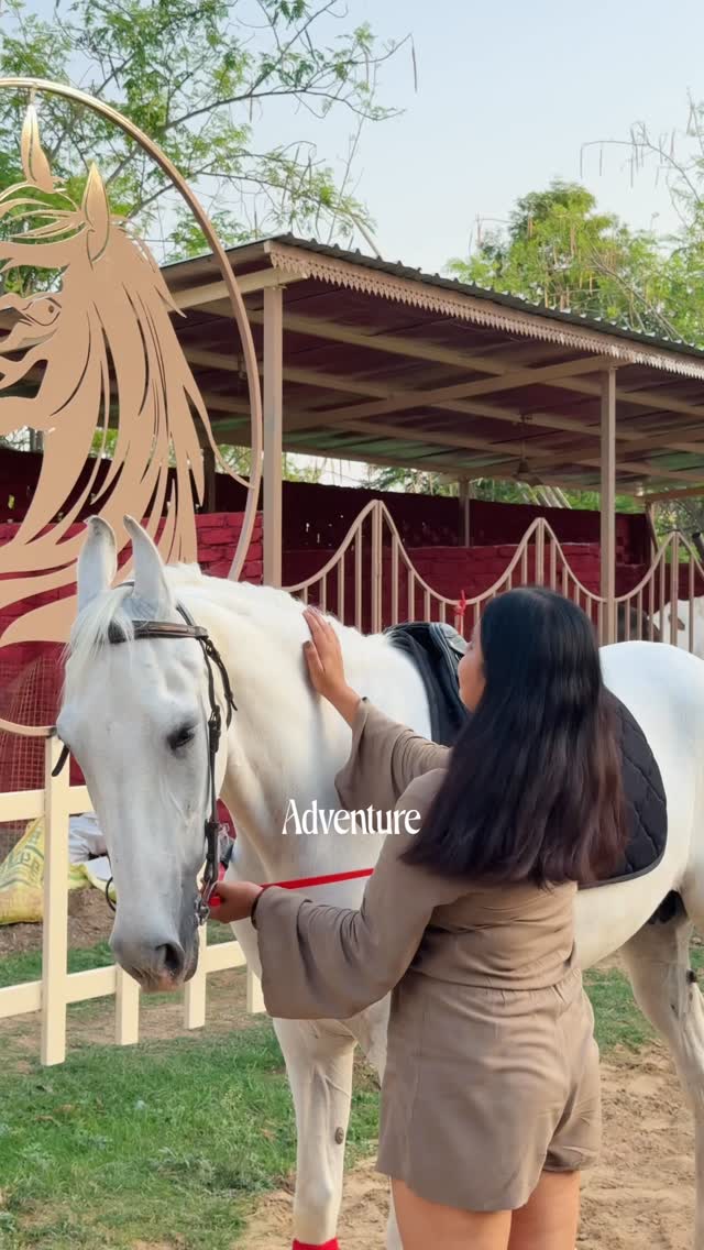 Udaipur में एक ऐसी जगह मिली जहाँ सिर्फ कॉफी नहीं… पहले adventure serve होता है 🐎☕✨

मैंने पहली बार यहाँ horse riding experience लिया और honestly ये सिर्फ एक activity नहीं थी…
ये एक peaceful, aesthetic और unforgettable experience था 🌿💛

अगर तुम भी Udaipur में कुछ normal café hopping से हटकर करना चाहते हो,
तो ये जगह तुम्हारी bucket list में होनी चाहिए 🔥

📍 Udaipur Hidden Experience | Horse Riding + Café Vibes

👉 Save this for your next trip
👉 Comment “HORSE” for location details

#UdaipurDiaries #HorseRidingUdaipur #UdaipurExperience #HiddenGemsUdaipur #ExploreUdaipur

(horse riding in Udaipur, Udaipur adventure cafe, unique experiences in Udaipur, things to do in Udaipur, Udaipur hidden gems, cafe with horse riding Udaipur, best experiences in Udaipur, Udaipur travel vlog ideas, offbeat places in Udaipur, adventure activities Udaipur)
