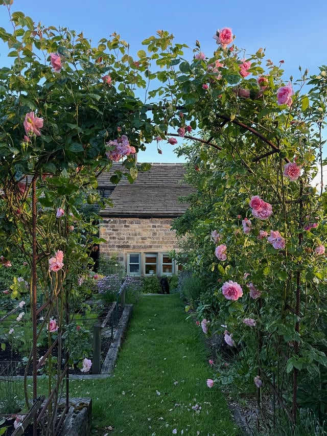 🌸🩷🌸🩷🌸

The roses are starting to bloom at last! 

This is ‘Strawberry Hill’, a beautiful climbing rose, and it smells gorgeous every time I walk past it up to the greenhouse. 🩷

It’s Granny Day again for me today. Last week Finn and I spent some time in the garden, he was a great help, especially with that watering can. It might have to be an indoor play gym today I think, we’ll see. 🥰

Happy Tuesday everyone, what do you have planned? 

#gardeningtime #climbingrose #cottagegardenflowers #rosegarden #englishgarden 

Gardening ~ English garden ~ Roses ~ Cottage garden ~ Garden arch ~ Kids