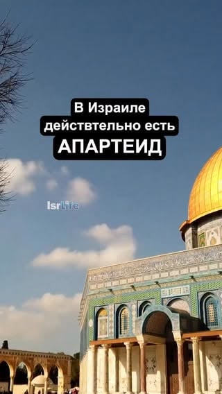 В Израиле и вправду есть апартеид #израиль #апартеидвизраиле #жизньвизраиле #арабывизраиле #isrlife